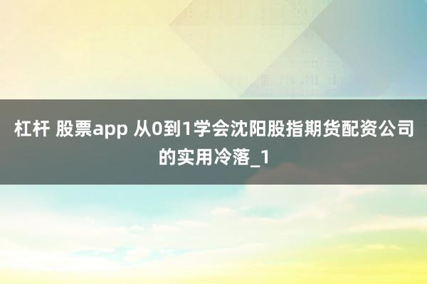 杠杆 股票app 从0到1学会沈阳股指期货配资公司的实用冷落_1