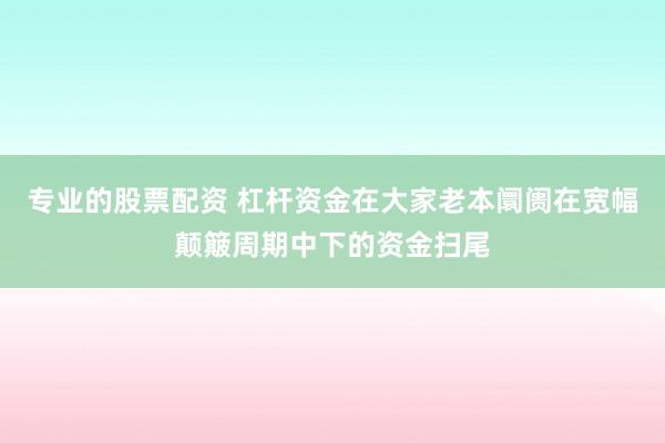 专业的股票配资 杠杆资金在大家老本阛阓在宽幅颠簸周期中下的资金扫尾