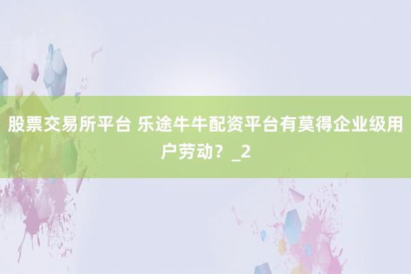 股票交易所平台 乐途牛牛配资平台有莫得企业级用户劳动？_2