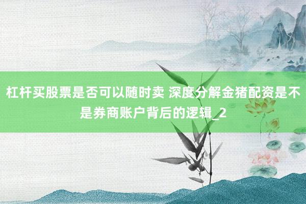 杠杆买股票是否可以随时卖 深度分解金猪配资是不是券商账户背后的逻辑_2